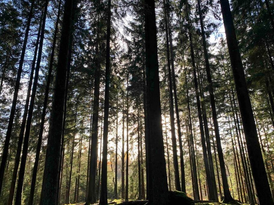 Panoramavy Naera Gbg Och Natur Olofstorp Ngoại thất bức ảnh