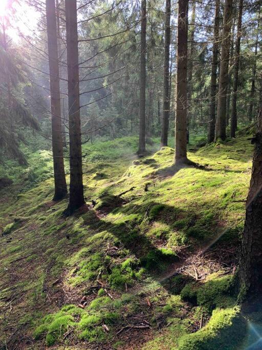 Panoramavy Naera Gbg Och Natur Olofstorp Ngoại thất bức ảnh
